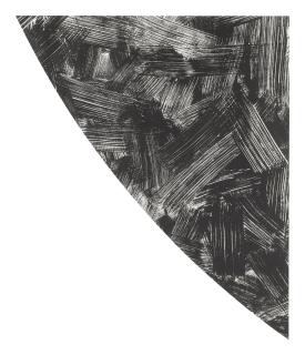 Ellsworth Kelly - Cupecoy (Axsom 202)