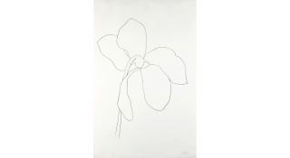 Ellsworth Kelly - Cyclamen III from Suite of Plant Lithographs