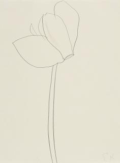 Ellsworth Kelly - Cyclamen 