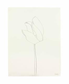 Ellsworth Kelly - Cyclamen