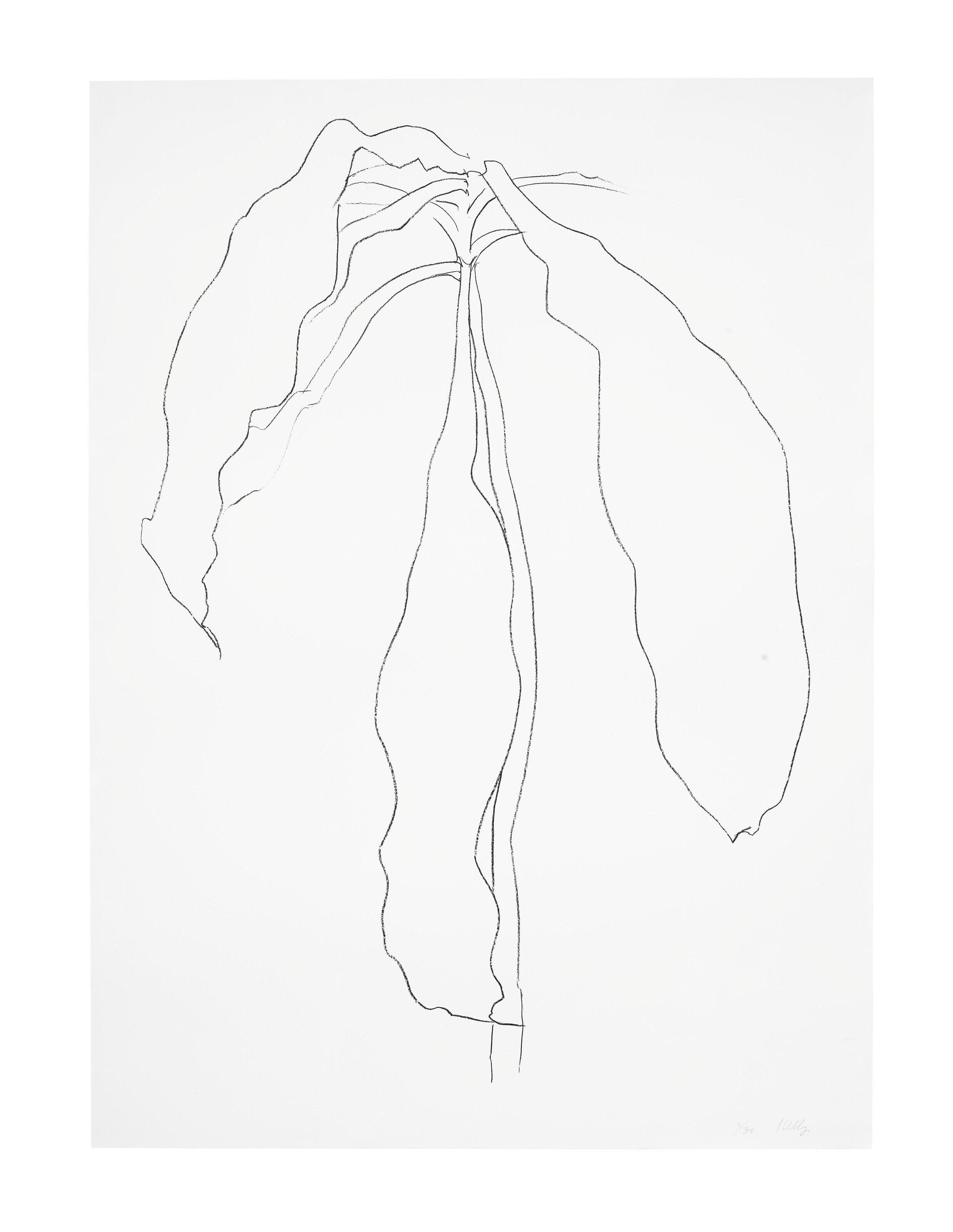 Ellsworth Kelly - Dracena II