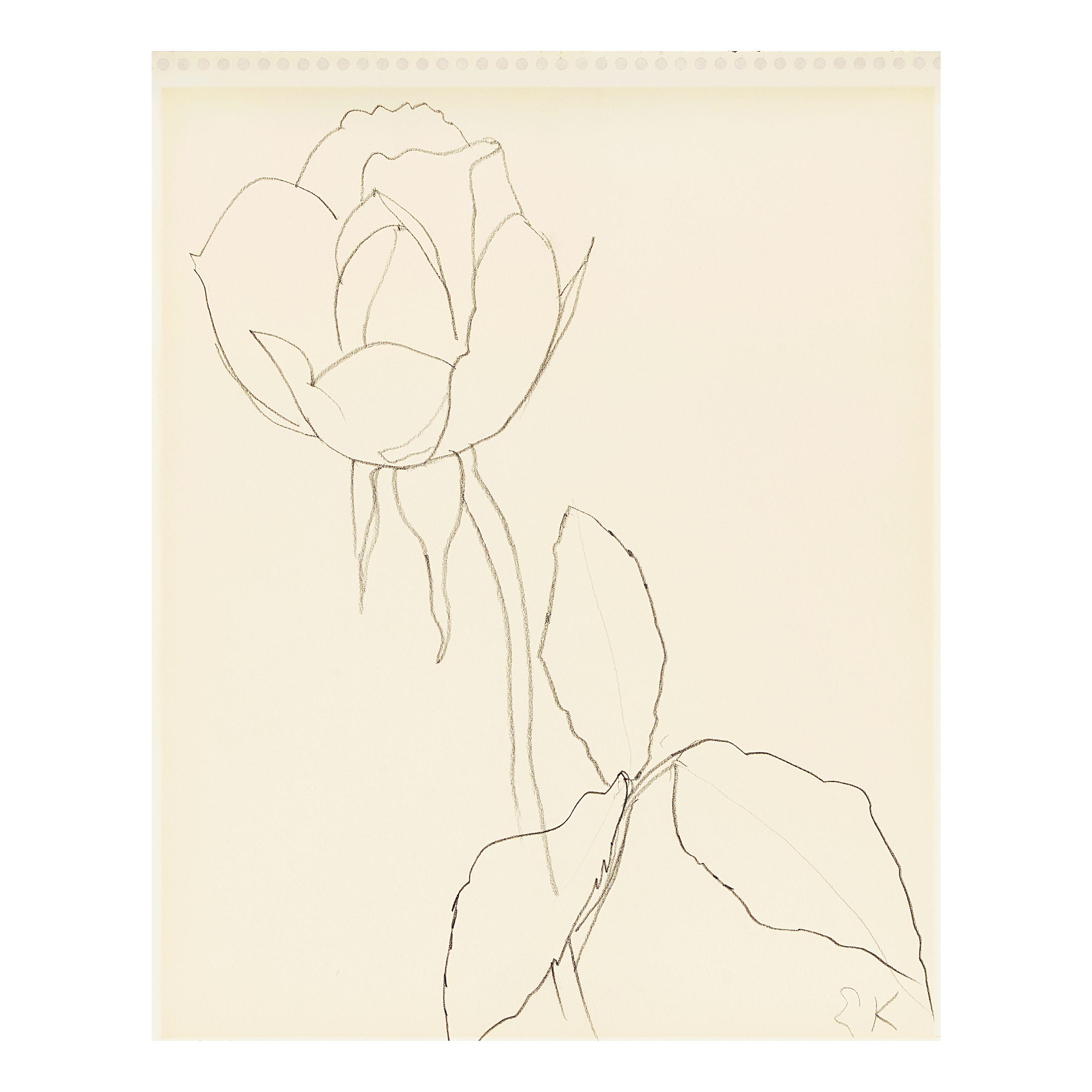 Ellsworth Kelly - Flower