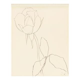 Ellsworth Kelly - Flower