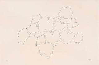Ellsworth Kelly - Grape Leaves I