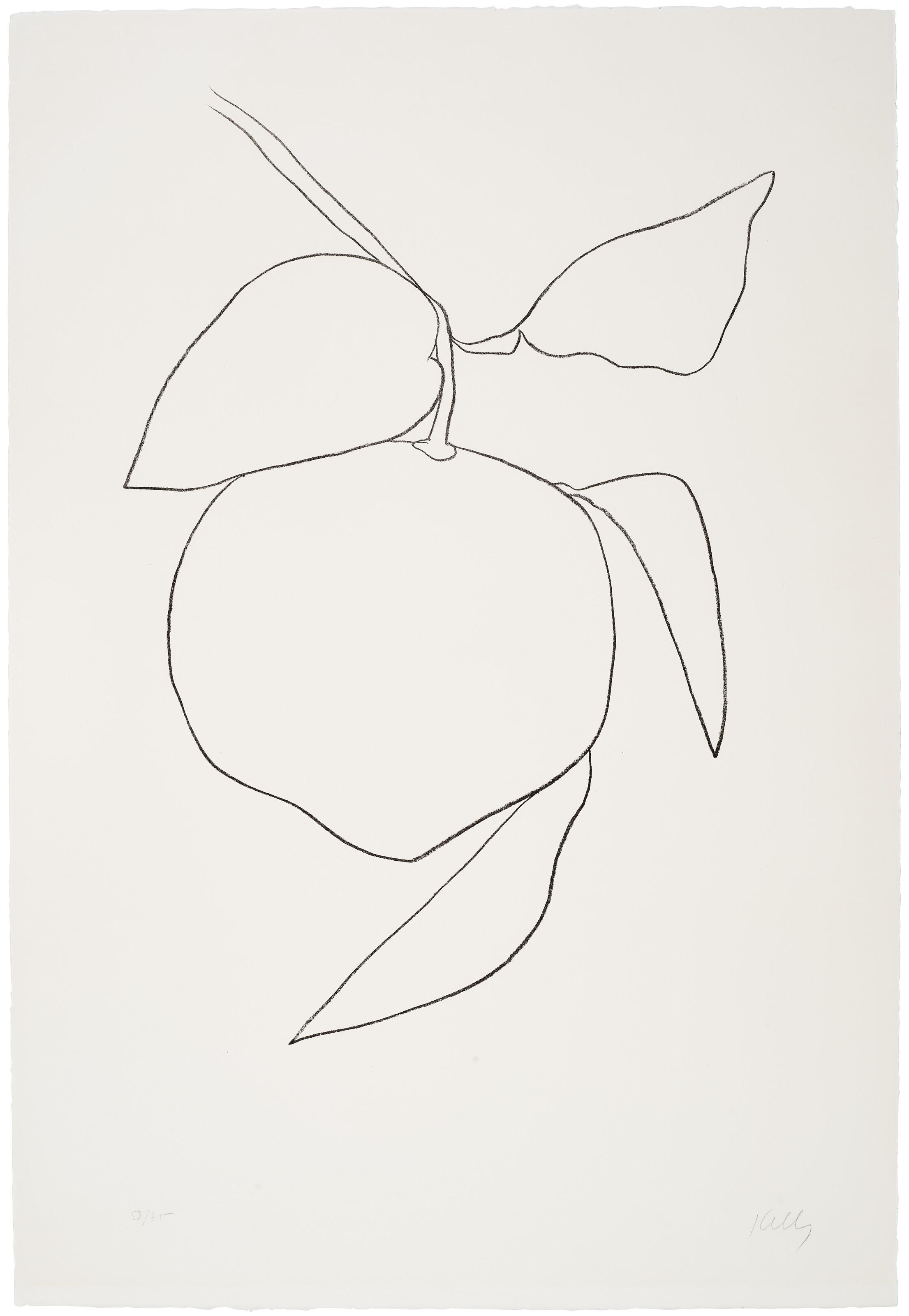 Ellsworth Kelly - Grapefruit (Pamplemousse), from Suite of Plant Lithographs