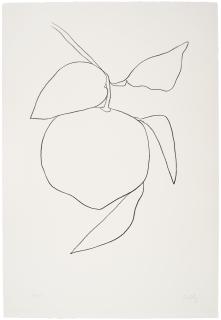 Ellsworth Kelly - Grapefruit (Pamplemousse), from Suite of Plant Lithographs