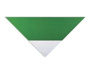 Ellsworth Kelly - Green White