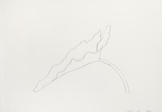 Ellsworth Kelly - Leaf IX (Axsom 174)