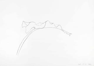 Ellsworth Kelly - Leaf V