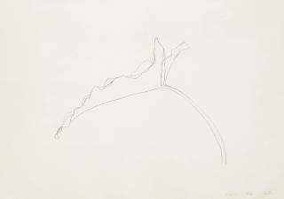 Ellsworth Kelly - Leaf Xi (A. 176)