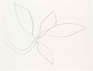 Ellsworth Kelly - Leaves