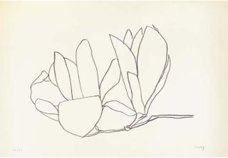 Ellsworth Kelly - Magnolia (A. 56)