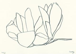 Ellsworth Kelly - Magnolia