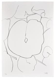 Ellsworth Kelly - Melon Leaf (Feuille de melon), from Suite of Plant Lithographs