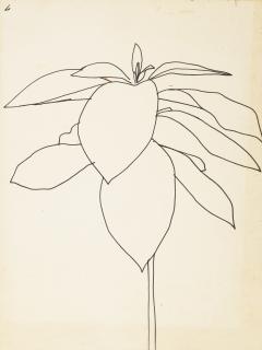 Ellsworth Kelly - Milkweed