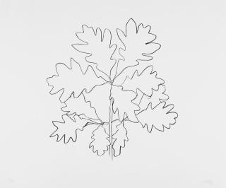 Ellsworth Kelly - Oak VI