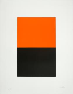 Ellsworth Kelly - Orange and Black