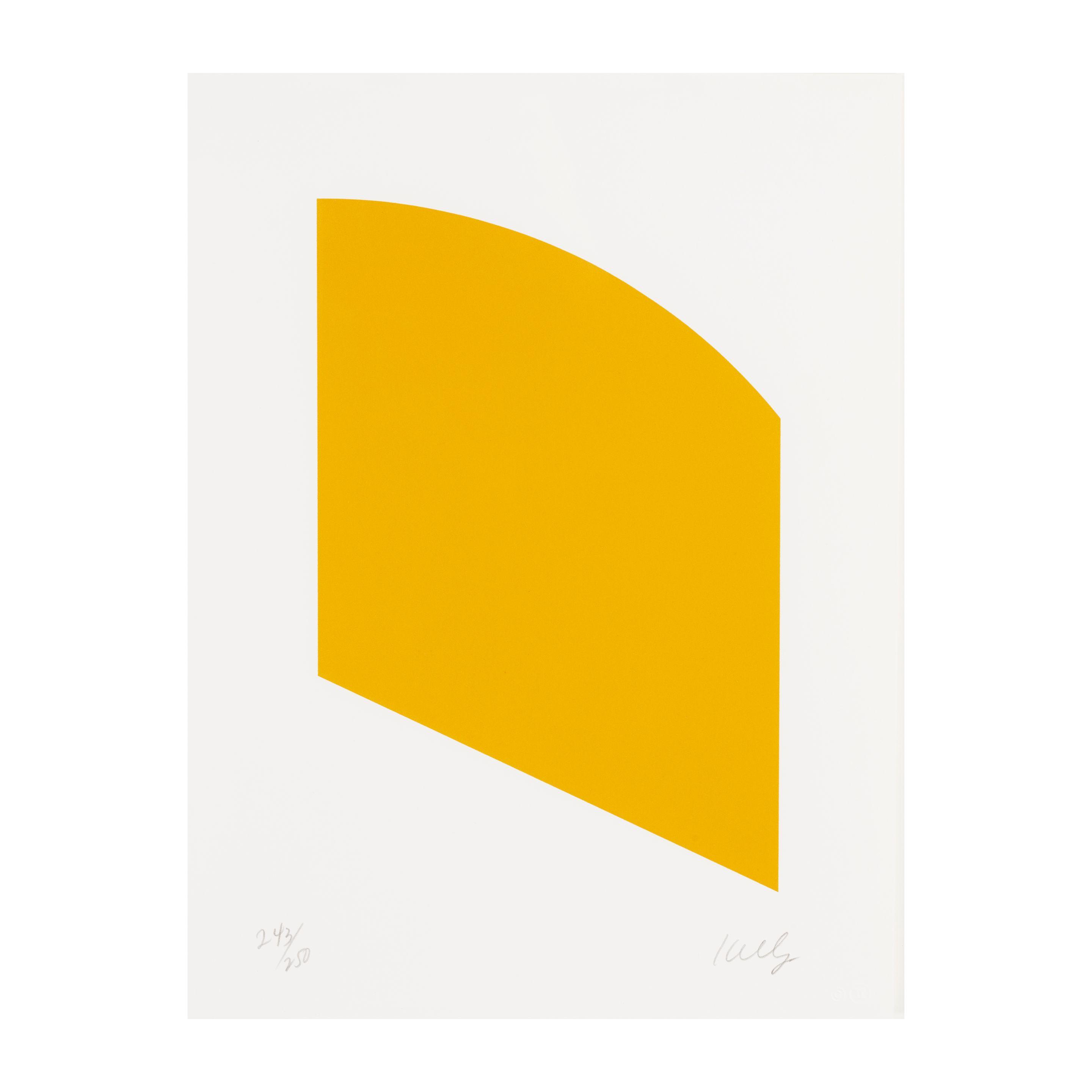 Ellsworth Kelly - Orange