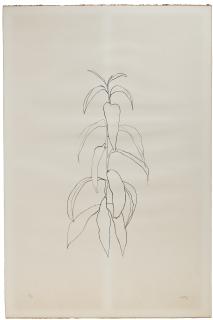 Ellsworth Kelly - Peach Branch, da: Leaves