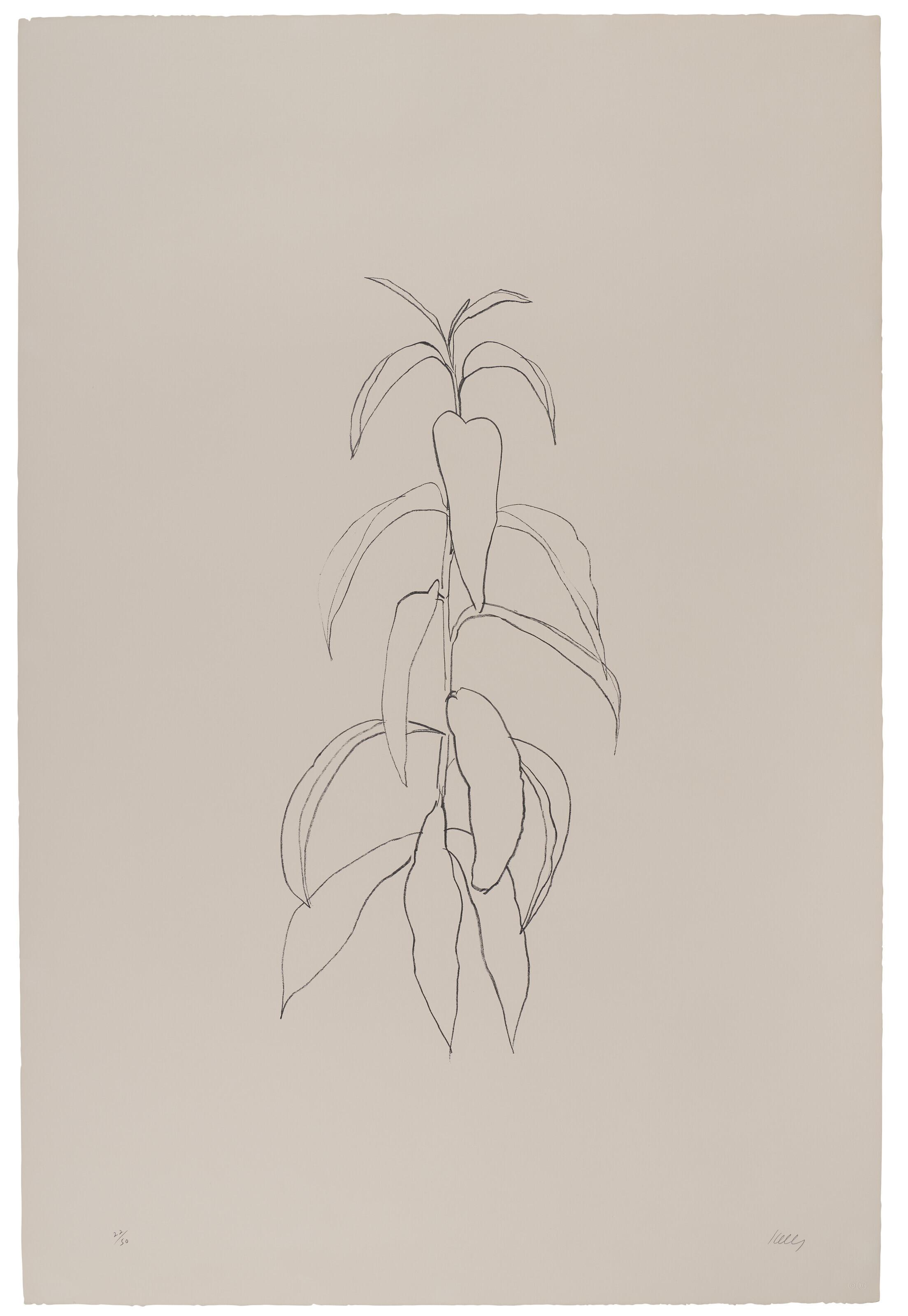 Ellsworth Kelly - Peach Branch