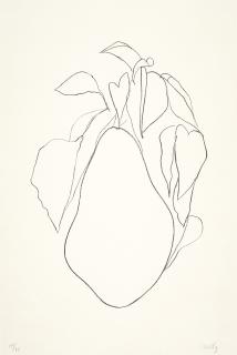 Ellsworth Kelly - Pear I, From Suite Of Plant Lithographs