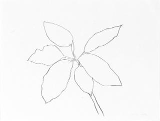 Ellsworth Kelly - Saint Martin Tropical Plant (A. 192; G. 957)