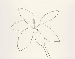 Ellsworth Kelly - Saint Martin Tropical Plant (A. 192)