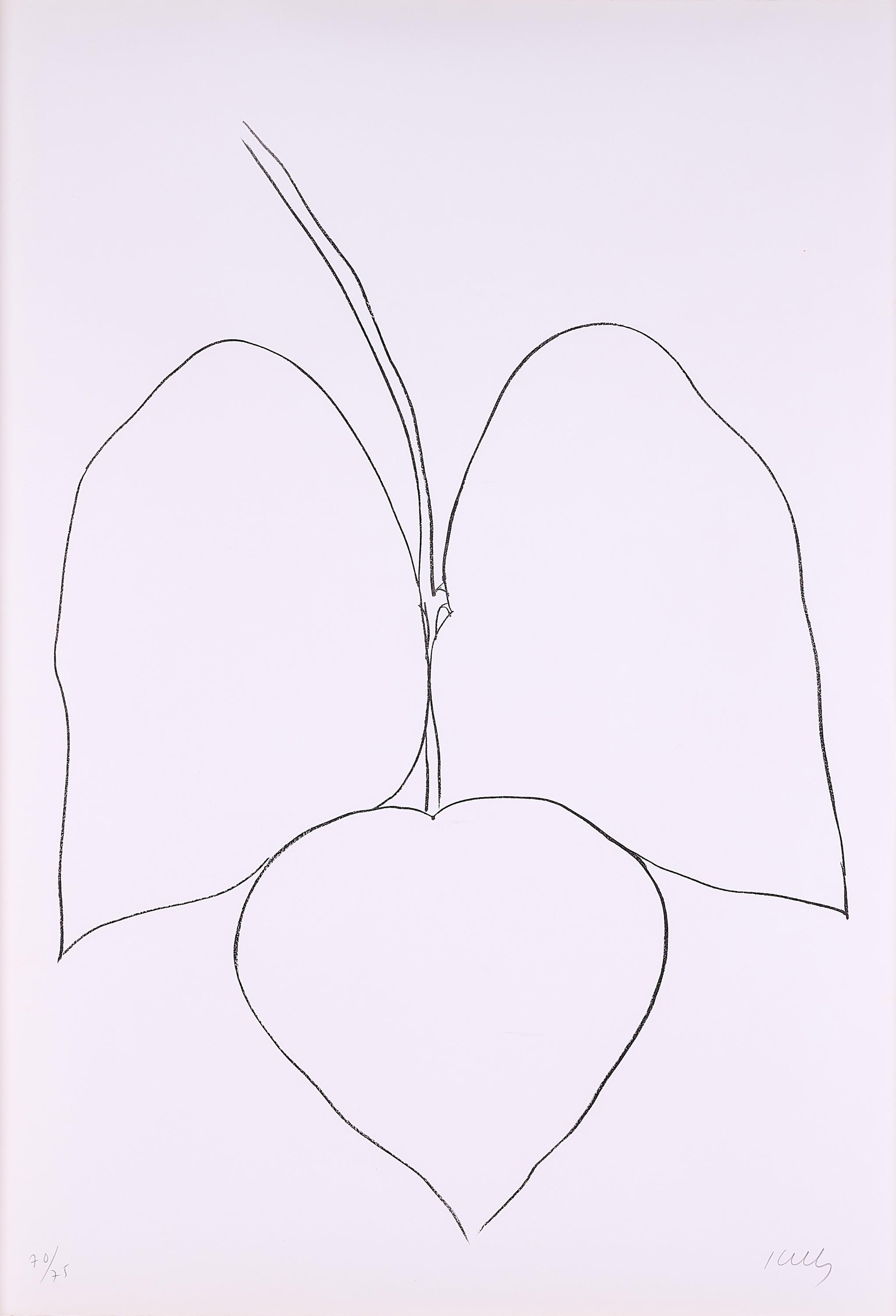 Ellsworth Kelly - String Bean Leaves I (Haricot Vert I).