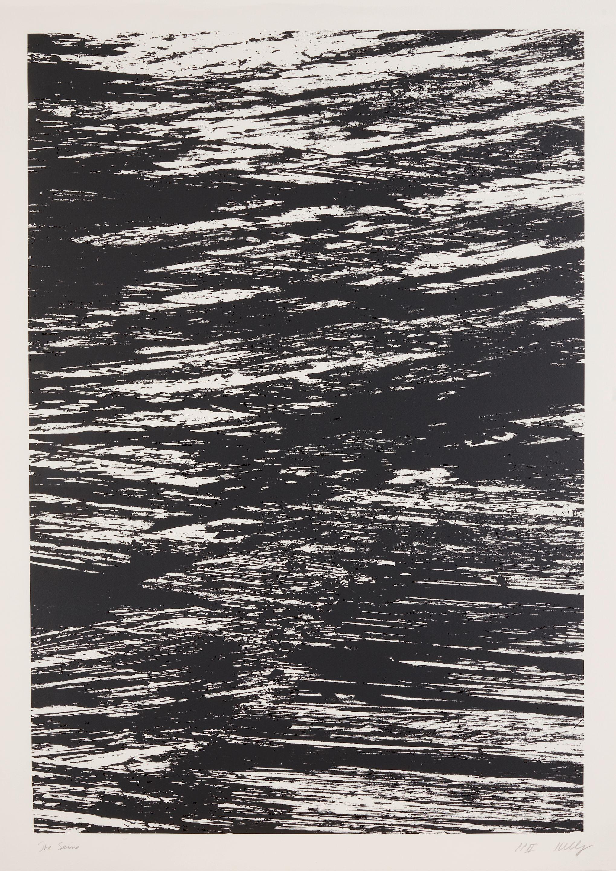 Ellsworth Kelly - The Seine, from States of the River