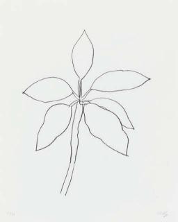 Ellsworth Kelly - Tropical Plant (G. 1655)