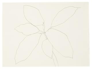 Ellsworth Kelly - Tropical Plant