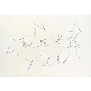 Ellsworth Kelly - Untitled