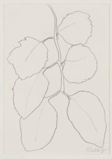 Ellsworth Kelly - Untitled