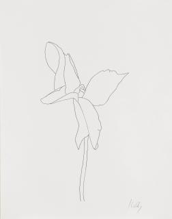 Ellsworth Kelly - Untitled