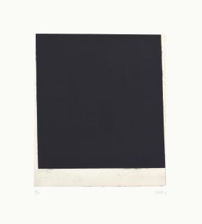 Ellsworth Kelly - Wall
