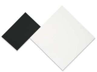 Ellsworth Kelly - White Black