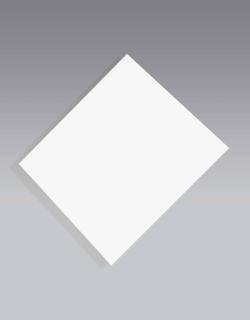 Ellsworth Kelly - White Panel