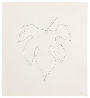 Ellsworth Kelly - Wild Grape Leaf (Axsom 191)