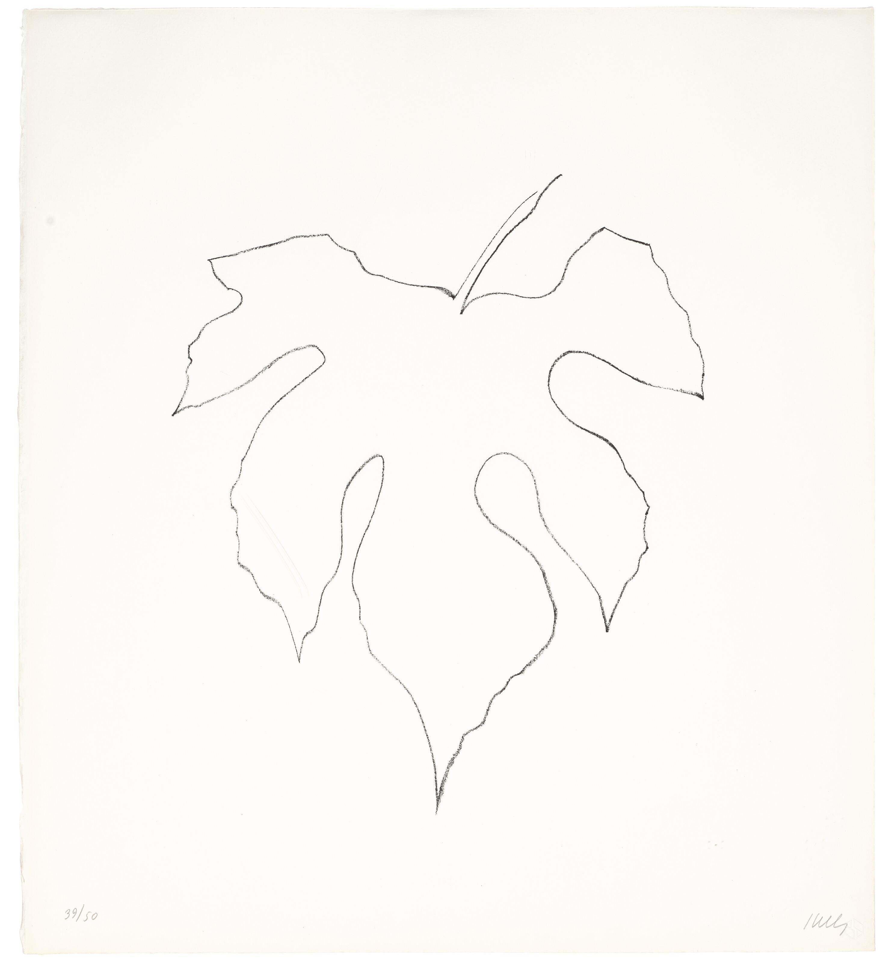 Ellsworth Kelly - Wild Grape Leaf