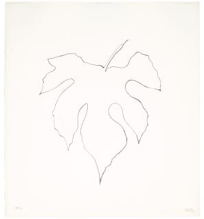 Ellsworth Kelly - Wild Grape Leaf