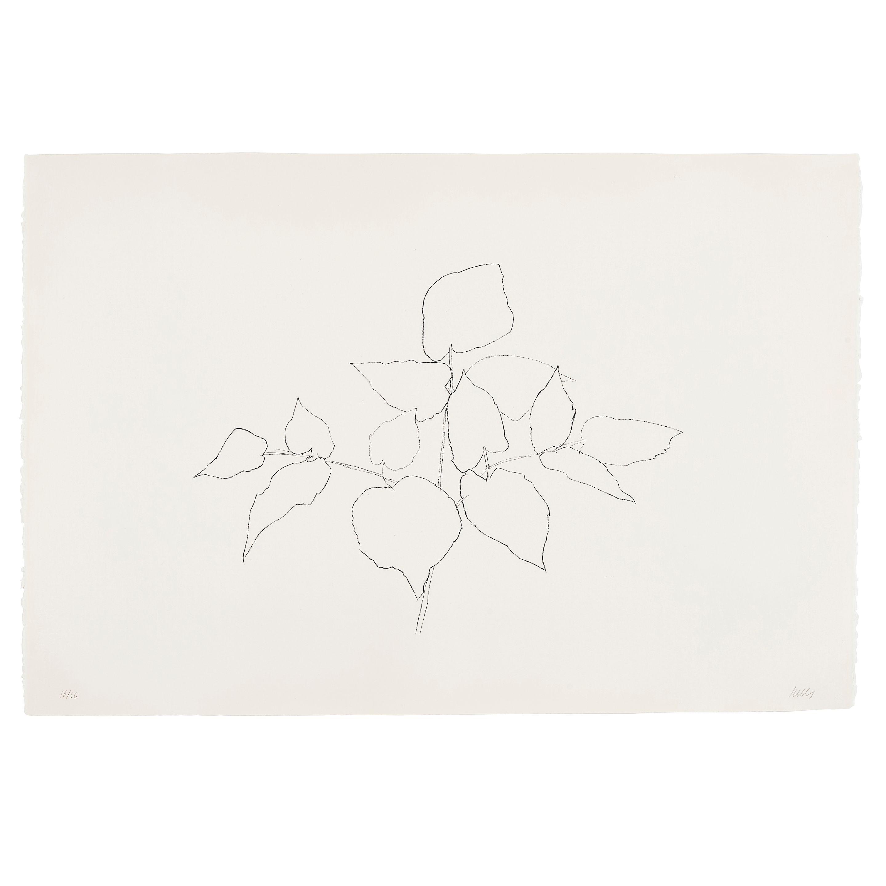 Ellsworth Kelly - Woodland Plant