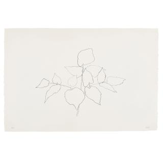 Ellsworth Kelly - Woodland Plant