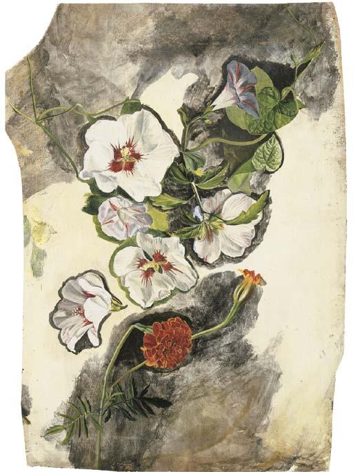 Eloise Harriet Stannard - Study of convolvulus and marigolds