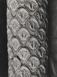 Else Thalemann - Quatre Études Botaniques