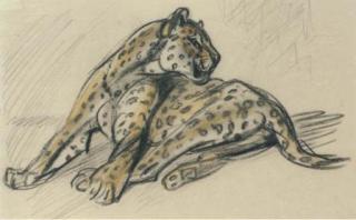 Elsie M. Henderson - Startled leopard (illustrated); Crouching leopard; Leopard on a branch; and Sleeping leopard