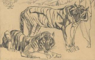 Elsie M. Henderson - Two tigers (illustrated); and Resting tiger