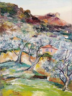 Elysee Maclet - Vallée du paillon 13