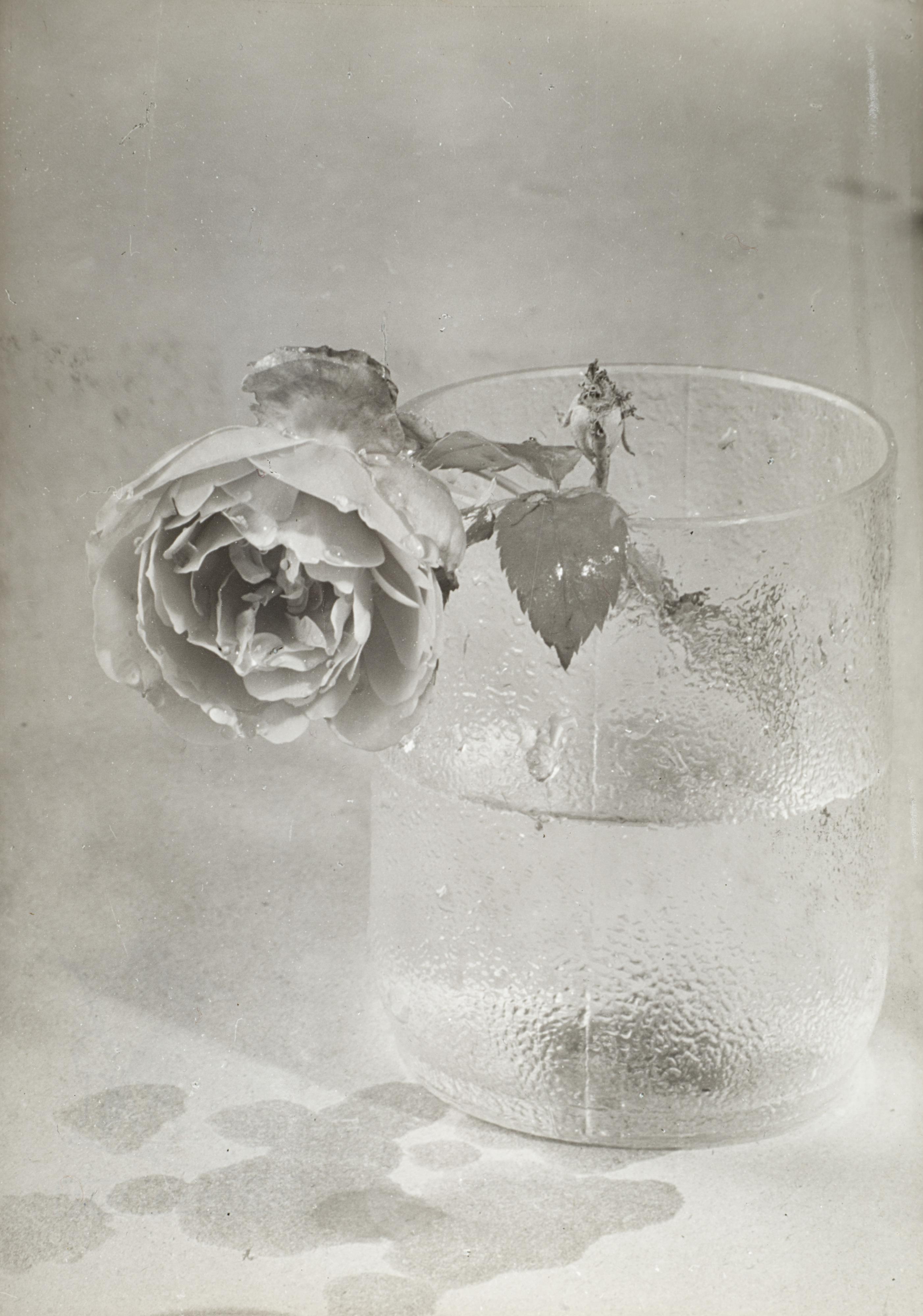 Emanuele Cavalli - Firenze 1950-51