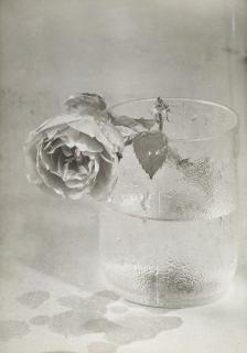 Emanuele Cavalli - Firenze 1950-51