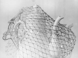 Emanuele Cavalli - Still life 1950 ca.